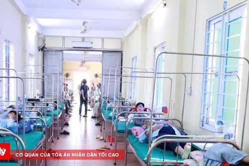 Vụ ngộ độc bánh mỳ ở Diễn Châu: Lộ nguồn lây nguy hiểm