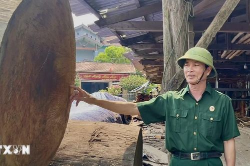 Người cựu chiến binh tô thắm thêm phẩm chất Bộ đội Cụ Hồ trên mặt trận kinh tế