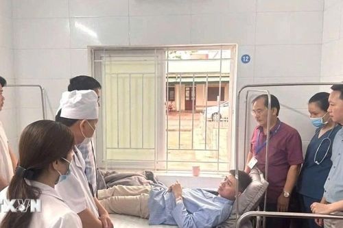 Công bố nguyên nhân làm 64 người ngộ độc do ăn bánh mỳ tại Nghệ An