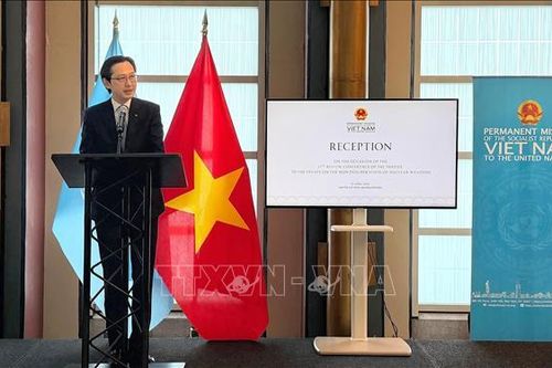 LHQ đánh giá cao sự chuẩn bị và cách tiếp cận của Việt Nam tại Hội nghị kiểm điểm NPT