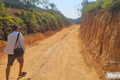 Chủ rừng kiến nghị cho tiếp tục khai thác gần 40ha rừng không hồ sơ pháp lý ở Huế