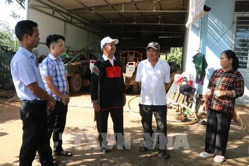 'Bóng cây kơ-nia' của dân bản