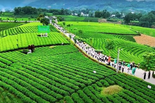 Thái Nguyên: Ứng dụng truyền thông số trong quảng bá du lịch