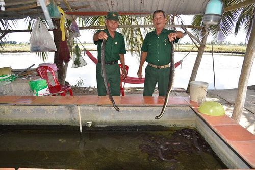 Bám đất làm nên cơ nghiệp