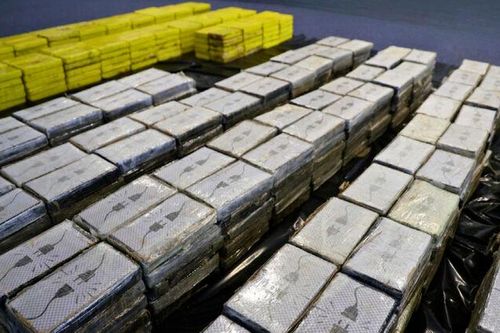 Đức thu giữ gần 700kg cocaine tại cảng biển