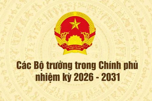 Tiểu sử tóm tắt các bộ trưởng trong Chính phủ nhiệm kỳ 2026-2031