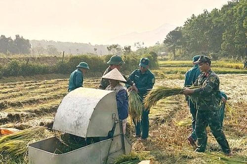 Hành động nhỏ, nghĩa tình lớn