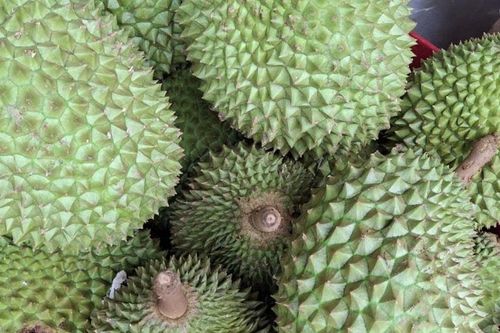 Giá sầu riêng hôm nay 29/4: Đi ngang, RI6 55.000đ/kg