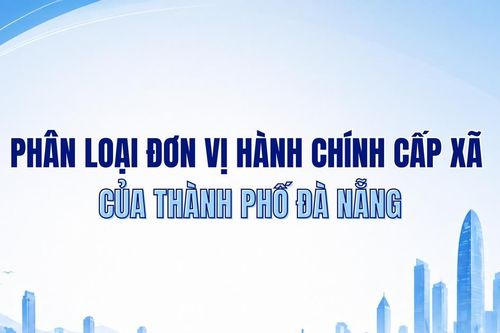 Infographic - Phân loại đơn vị hành chính cấp xã của thành phố Đà Nẵng