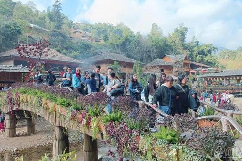 Lào Cai đón hơn 4,5 triệu lượt khách trong 4 tháng đầu năm