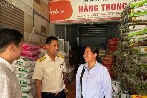 Bỏ ngưỡng chịu thuế 500 triệu đồng/năm - người kinh doanh phấn khởi
