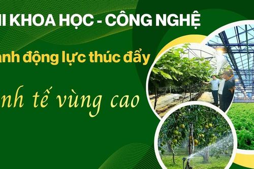 Khi khoa học - công nghệ thành động lực thúc đẩy kinh tế vùng cao