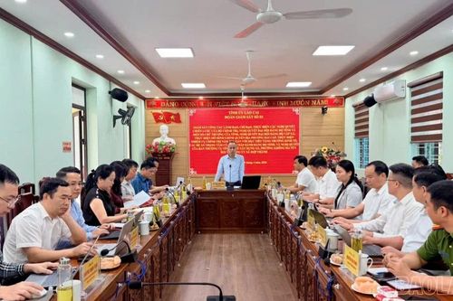 Đoàn giám sát số 03 Tỉnh ủy Lào Cai làm việc tại xã Hợp Thành