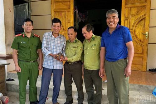 Người dân tự nguyện giao nộp động vật rừng cho cơ quan chức năng