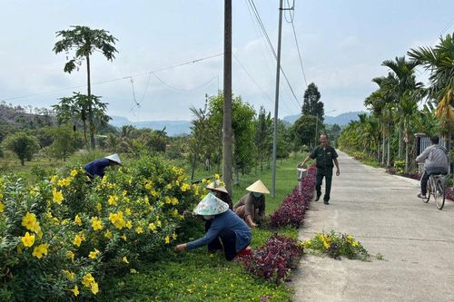 Con đường đẹp nhất xứ hoa vàng