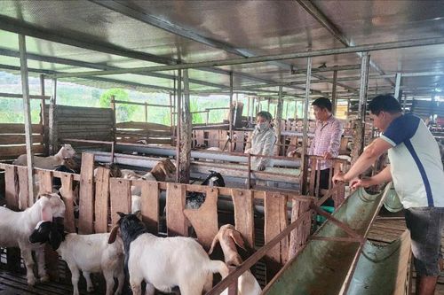 Thanh niên Lâm Đồng xung kích trong phong trào và phát triển kinh tế