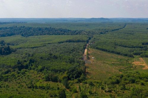 TP. Đồng Nai đầu tư 28.800 tỷ đồng xây đường kết nối Tây Nguyên với sân bay Long Thành