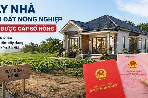 Cấp sổ hồng cho nhà xây trên đất nông nghiệp: Điều kiện và quy định mới theo Luật Đất đai 2024