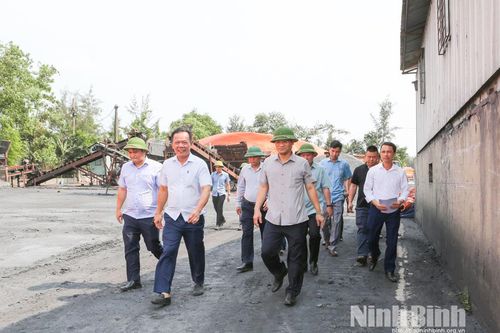 Đồng chí Phó Chủ tịch UBND tỉnh Trần Anh Dũng kiểm tra việc chấp hành pháp luật đê điều trên địa bàn xã Ý Yên