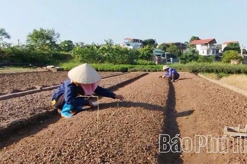 Kiểm soát chặt chẽ chất lượng vật tư nông nghiệp đầu vào