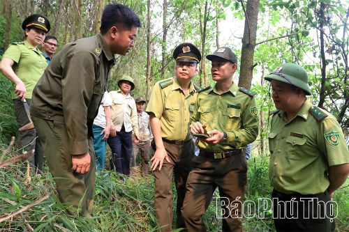 Kiểm lâm Kim Bôi - Khi 'lá chắn xanh' dựa vào lòng dân