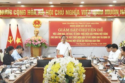 Giám sát chuyên đề tại hai ban quản lý dự án