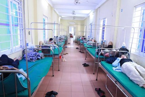 Phát hiện vi khuẩn Salmonella trong bánh mỳ gây ra vụ ngộ độc ở Nghệ An