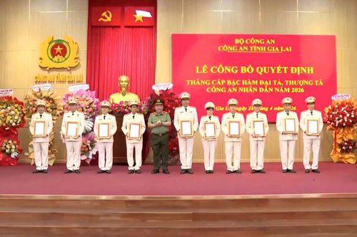 Gia Lai: 140 sĩ quan được thăng cấp bậc hàm Đại tá, Thượng tá năm 2026