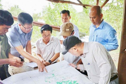 Quyết liệt, đồng bộ bảo vệ, phát triển rừng