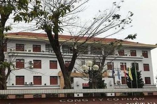 Giá heo hơi thấp hơn cùng kỳ, Tập đoàn Dabaco Việt Nam (DBC) báo lãi quý I/2026 'sụt' 26%