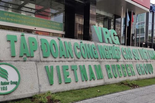 Tập đoàn Công nghiệp Cao su Việt Nam (GVR) báo lãi quý I/2026 vượt 2.500 tỷ đồng, tăng 85%