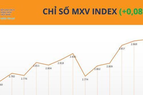 Thị trường phân hóa, MXV-Index giằng co