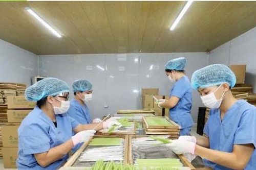 Hà Nội có thêm 9 sản phẩm OCOP đạt 5 sao cấp quốc gia