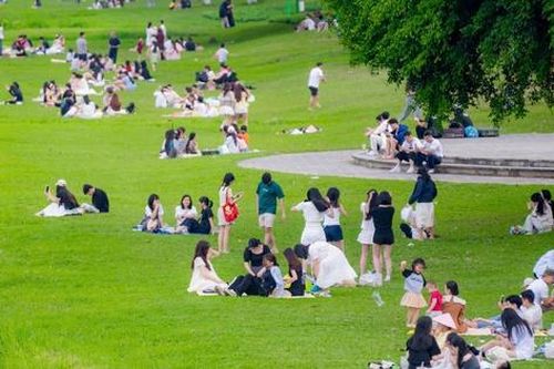 Huế công bố đường dây nóng hỗ trợ du khách, công suất phòng lưu trú dịp lễ ra sao?