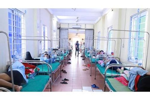 Phát hiện vi khuẩn Salmonella trong bánh mì gây ra vụ ngộ độc ở Nghệ An