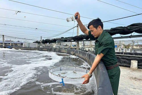 Cựu chiến binh 'đánh thức' vùng bãi ngang