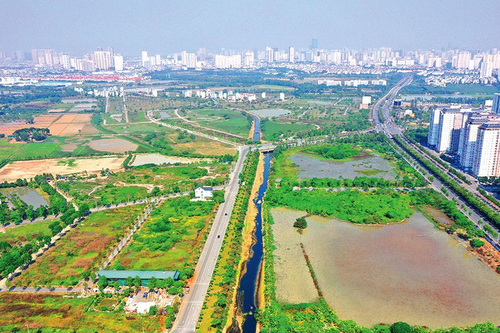 Cán bộ, người thuộc lực lượng vũ trang để xảy ra vi phạm về đất đai được miễn kỷ luật trong trường hợp nào?