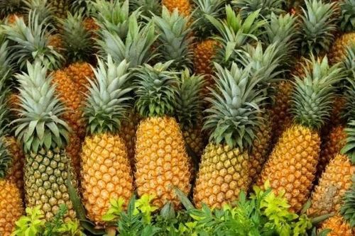 Dứa hỗ trợ tăng chức năng thận nhờ bromelain