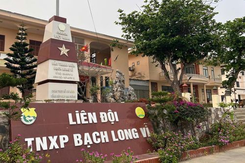 Sức sống Bạch Long Vĩ