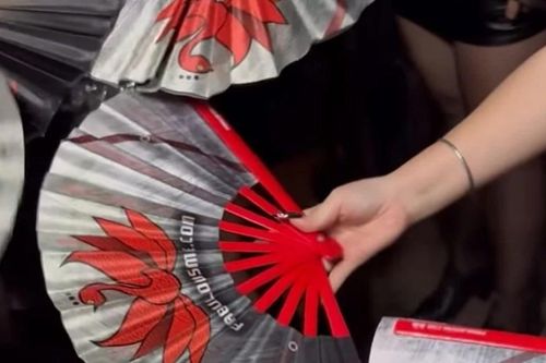 Khi chiếc quạt bước lên sân khấu fandom Việt