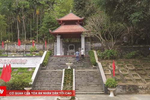Những đóa hoa trong lòng đá