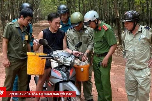 Tăng cường tuần tra, kiểm soát tại các lô cao su, bảo đảm an ninh từ cơ sở