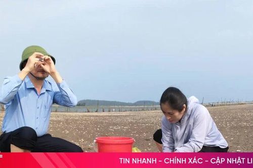 Xác định nguyên nhân ngao chết hàng loạt ở Mai Phụ