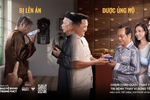 'Khổ tâm của Lương Y' phát động chiến dịch thay thế sừng tê giác