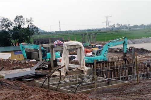 Ninh Bình xử lý vi phạm đê điều trên tuyến đê tả Đáy qua Ý Yên