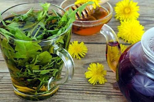 Loài cây mọc đầy vườn ở Việt Nam: Bị thờ ơ, coi là cỏ dại nhưng thế giới lại săn lùng như 'thần dược'