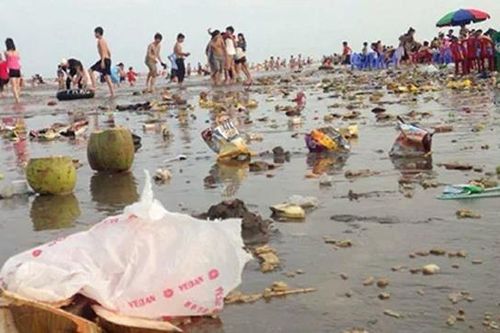 Chữa lành bằng... rác