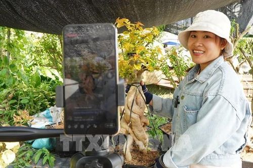 Thị trường thương mại điện tử bước vào giai đoạn 'tăng trưởng thực chất'
