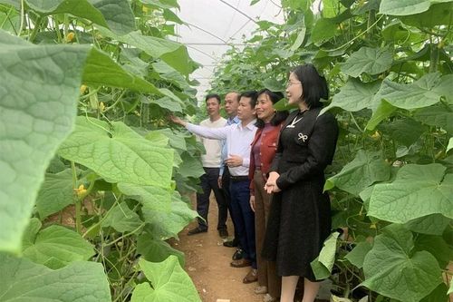 Đồng vốn nhỏ, khát vọng lớn