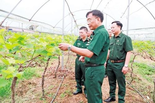Cựu chiến binh phát huy phẩm chất người lính trong phát triển kinh tế